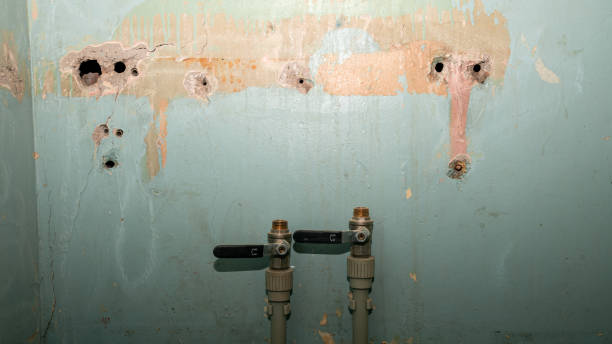 Best Water damage cleanup near me  in Crossville, AL