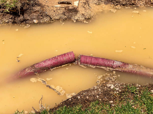 Best Basement water damage restoration  in Crossville, AL