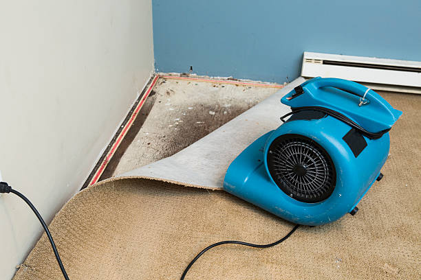 Best Water damage restoration near me  in Crossville, AL